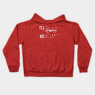 Yes He Is Gorgeous, No You Can't Pet Him - Dark Shirt Version Kids Hoodie